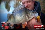 Nymfa REDBASS Nr. 1 L - 80 mm - balení 5 ks