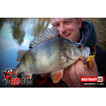 Nymfa REDBASS Nr. 1 L - 80 mm - balení 5 ks