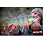 Zvýhodněná sada Streamer Marabou "Čeburaška"