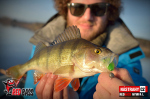 Nymfa REDBASS Nr. 1 L - 80 mm - balení 5 ks