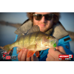 Nymfa REDBASS Nr. 1 L - 80 mm - balení 5 ks