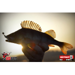 Nymfa REDBASS Nr. 1 L - 80 mm - balení 5 ks