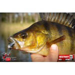 Nymfa REDBASS Nr. 1 L - 80 mm - balení 5 ks