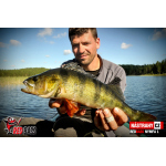 Nymfa REDBASS Nr. 1 L - 80 mm - balení 5 ks