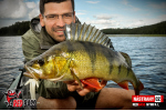 Nymfa REDBASS Nr. 1 L - 80 mm - balení 5 ks