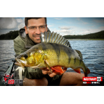 Nymfa REDBASS Nr. 1 L - 80 mm - balení 5 ks