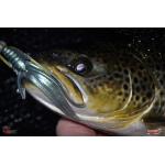 Nymfa REDBASS Nr. 1 L - 80 mm - balení 5 ks