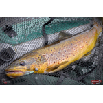 Nymfa REDBASS Nr. 1 L - 80 mm - balení 5 ks