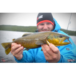 Nymfa REDBASS Nr. 1 L - 80 mm - balení 5 ks