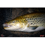 Nymfa REDBASS Nr. 1 L - 80 mm - balení 5 ks