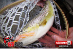 Nymfa REDBASS Nr. 1 L - 80 mm - balení 5 ks