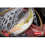 Nymfa REDBASS Nr. 1 L - 80 mm - balení 5 ks