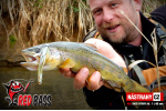 Nymfa REDBASS Nr. 1 L - 80 mm - balení 5 ks