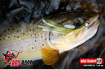 Nymfa REDBASS Nr. 1 L - 80 mm - balení 5 ks