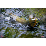 Nymfa REDBASS Nr. 1 L - 80 mm - balení 5 ks