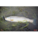 Nymfa REDBASS Nr. 1 L - 80 mm - balení 5 ks