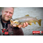 Nymfa REDBASS Nr. 1 L - 80 mm - balení 5 ks