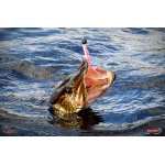 Nymfa REDBASS Nr. 1 L - 80 mm - balení 5 ks