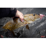 Nymfa REDBASS Nr. 1 L - 80 mm - balení 5 ks