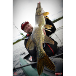 Nymfa REDBASS Nr. 1 L - 80 mm - balení 5 ks