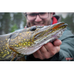 Nymfa REDBASS Nr. 1 L - 80 mm - balení 5 ks