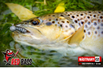 Nymfa REDBASS Nr. 1 S - 53 mm - 1 ks
