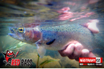 Nymfa REDBASS Nr. 1 S - 53 mm - 1 ks