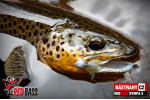 Nymfa REDBASS Nr. 1 S - 53 mm - 1 ks