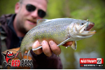 Nymfa REDBASS Nr. 1 S - 53 mm - 1 ks
