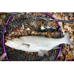 Nymfa REDBASS Nr. 1 X - 100 mm - balení 5 ks