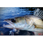 Nymfa REDBASS Nr. 1 X - 100 mm - balení 5 ks