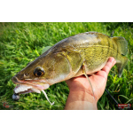 Nymfa REDBASS Nr. 1 X - 100 mm - balení 5 ks