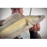 Nymfa REDBASS Nr. 1 X - 100 mm - balení 5 ks