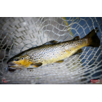 Nymfa REDBASS Nr. 1 X - 100 mm - balení 5 ks