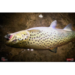 Nymfa REDBASS Nr. 1 X - 100 mm - balení 5 ks