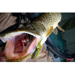 Nymfa REDBASS Nr. 1 X - 100 mm - balení 5 ks