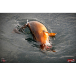 Nymfa REDBASS Nr. 1 X - 100 mm - balení 5 ks