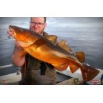 Nymfa REDBASS Nr. 1 X - 100 mm - balení 5 ks