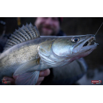 Nymfa REDBASS Nr. 1 XL - 130 mm - 1 ks