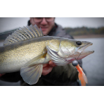 Nymfa REDBASS Nr. 1 XL - 130 mm - 1 ks