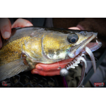 Nymfa REDBASS Nr. 1 XL - 130 mm - 1 ks