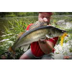 Nymfa REDBASS Nr. 1 XL - 130 mm - 1 ks