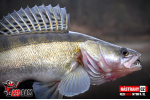 Nymfa REDBASS Nr. 1 XL - 130 mm - balení 5ks