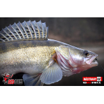 Nymfa REDBASS Nr. 1 XL - 130 mm - 1 ks