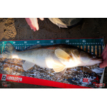 Nymfa REDBASS Nr. 1 XL - 130 mm - 1 ks