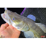 Nymfa REDBASS Nr. 1 XL - 130 mm - 1 ks