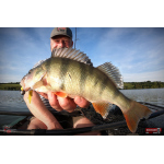 Nymfa REDBASS Nr. 1 XL - 130 mm - 1 ks