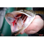 Nymfa REDBASS Nr. 1 XL - 130 mm - 1 ks