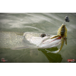 Nymfa REDBASS Nr. 1 XL - 130 mm - 1 ks