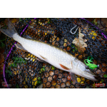 Nymfa REDBASS Nr. 1 XL - 130 mm - 1 ks